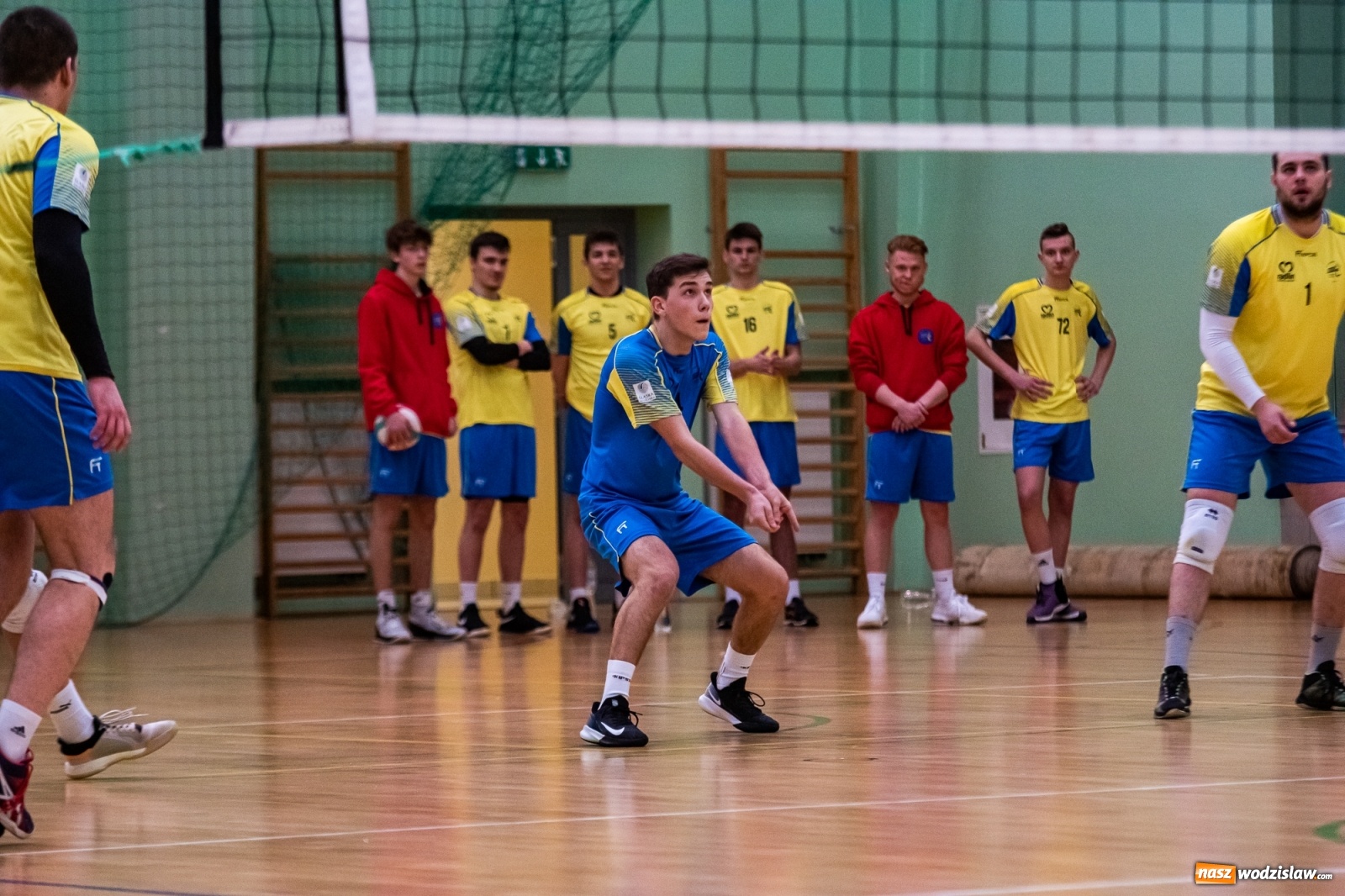 Zdjęcie w galerii na portalu naszwodzislaw.com: Siatkówka. Górnik Radlin wrócił z Raciborza z tarczą [FOTO] wiadomości z regionu