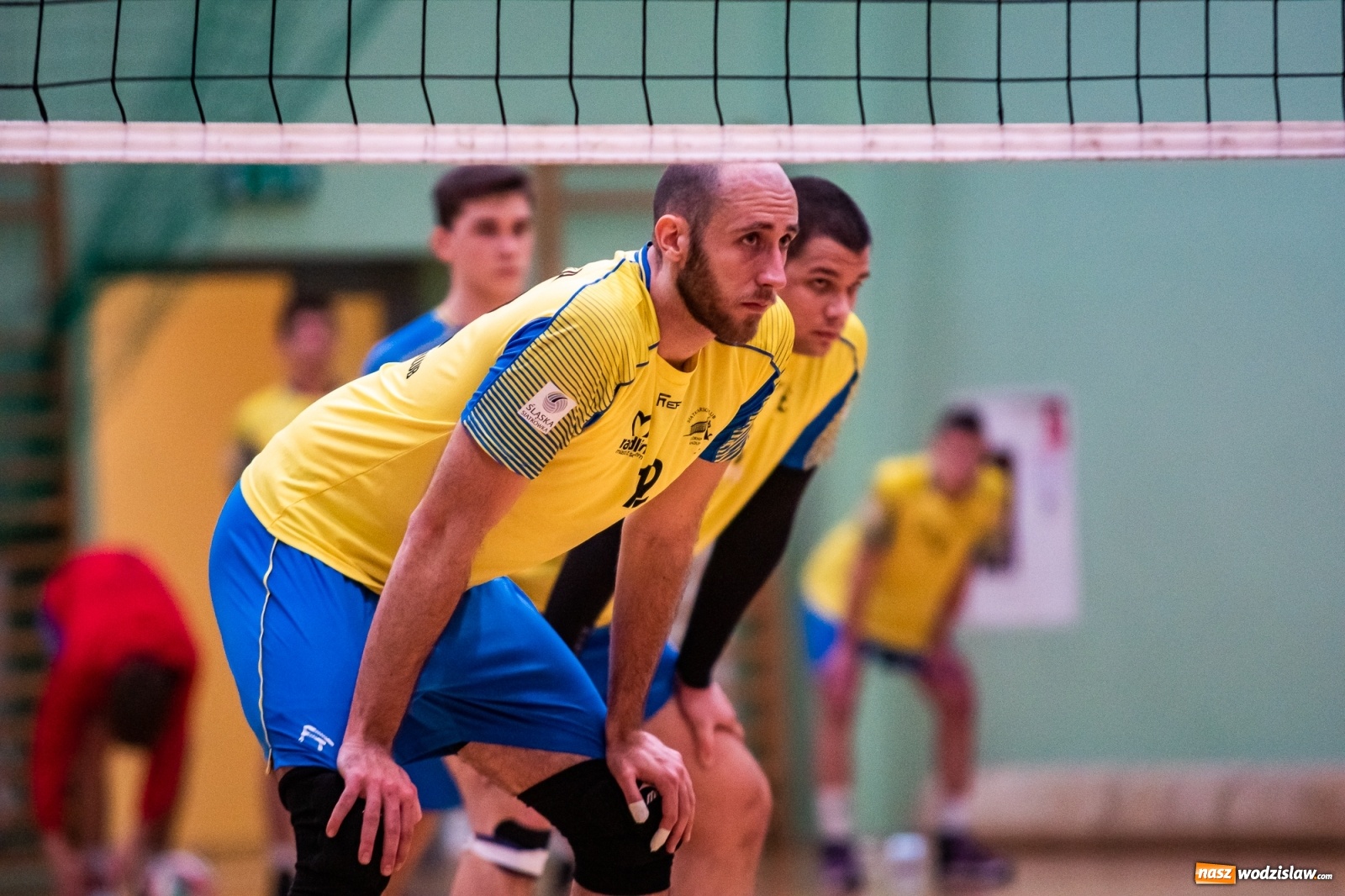 Zdjęcie w galerii na portalu naszwodzislaw.com: Siatkówka. Górnik Radlin wrócił z Raciborza z tarczą [FOTO] wiadomości z regionu