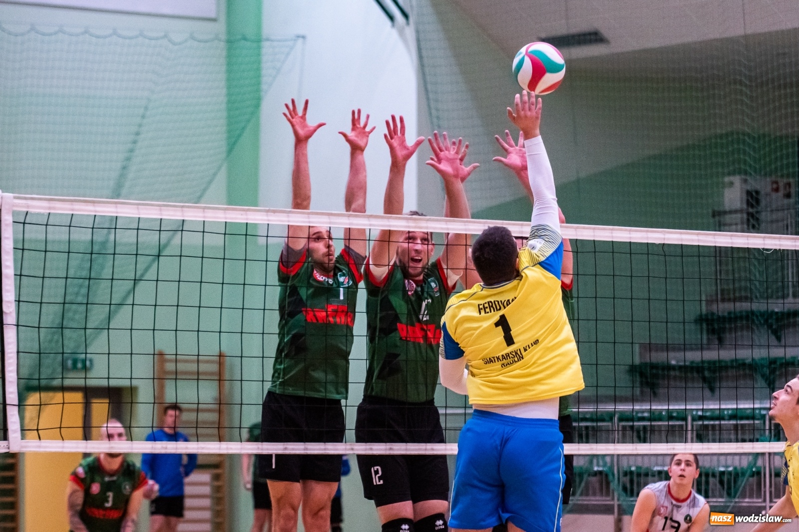 Zdjęcie w galerii na portalu naszwodzislaw.com: Siatkówka. Górnik Radlin wrócił z Raciborza z tarczą [FOTO] wiadomości z regionu