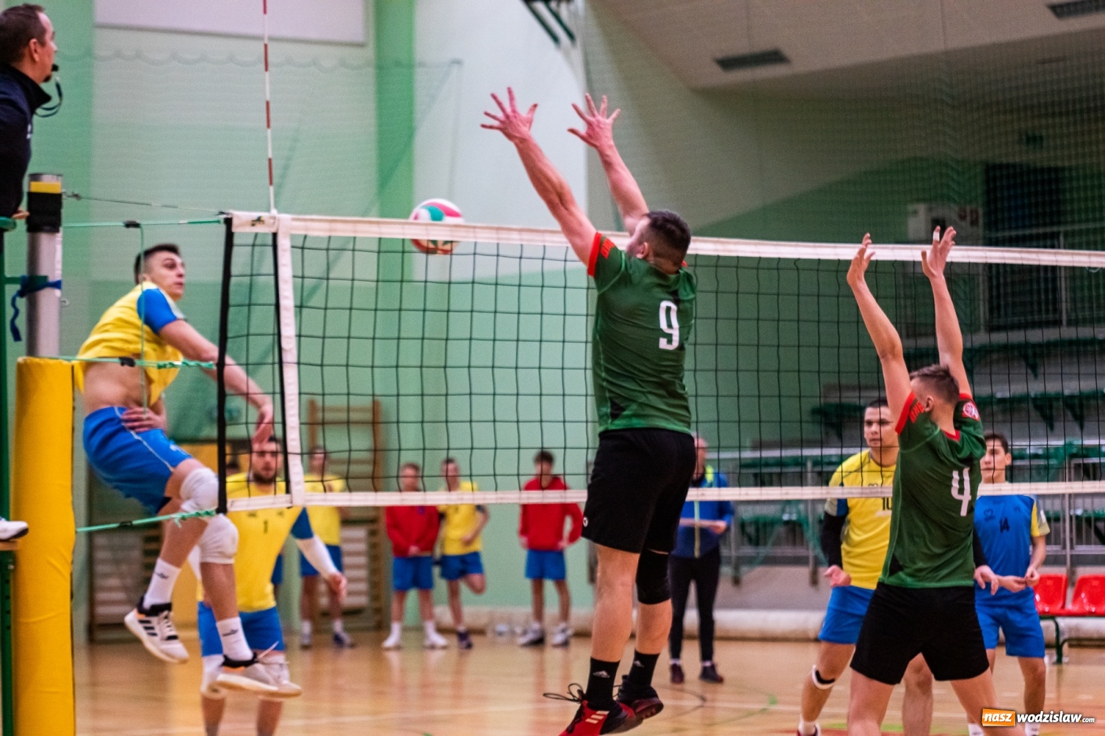 Zdjęcie w galerii na portalu naszwodzislaw.com: Siatkówka. Górnik Radlin wrócił z Raciborza z tarczą [FOTO] wiadomości z regionu