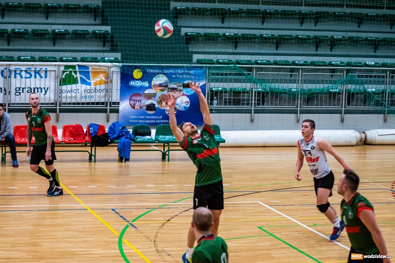 Zdjęcie w galerii na portalu naszwodzislaw.com: Siatkówka. Górnik Radlin wrócił z Raciborza z tarczą [FOTO] wiadomości z regionu
