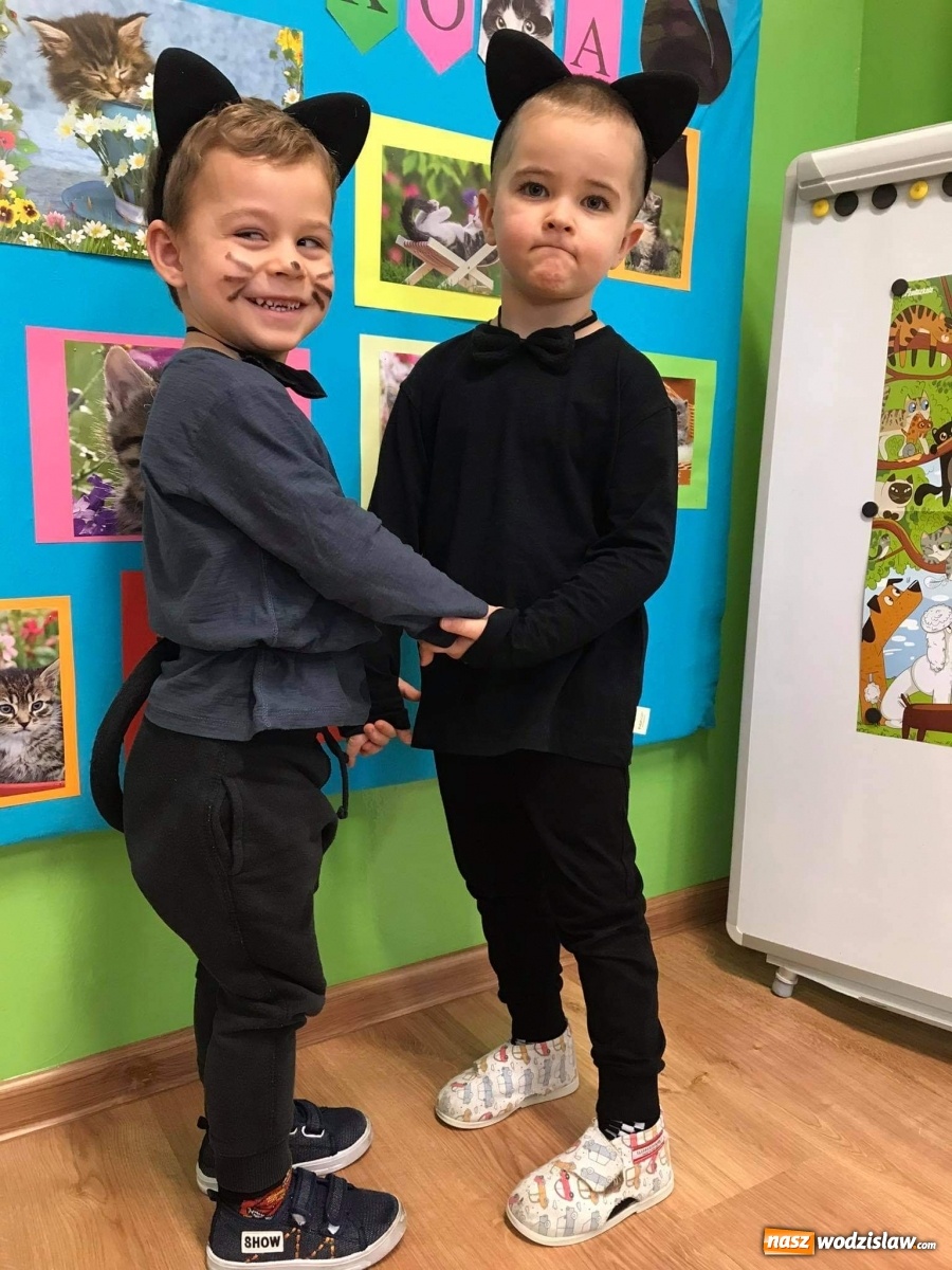 Zdjęcie w galerii na portalu naszwodzislaw.com: Przedszkolaki z Osiemnastki świętowały Dzień Kota wiadomości z regionu