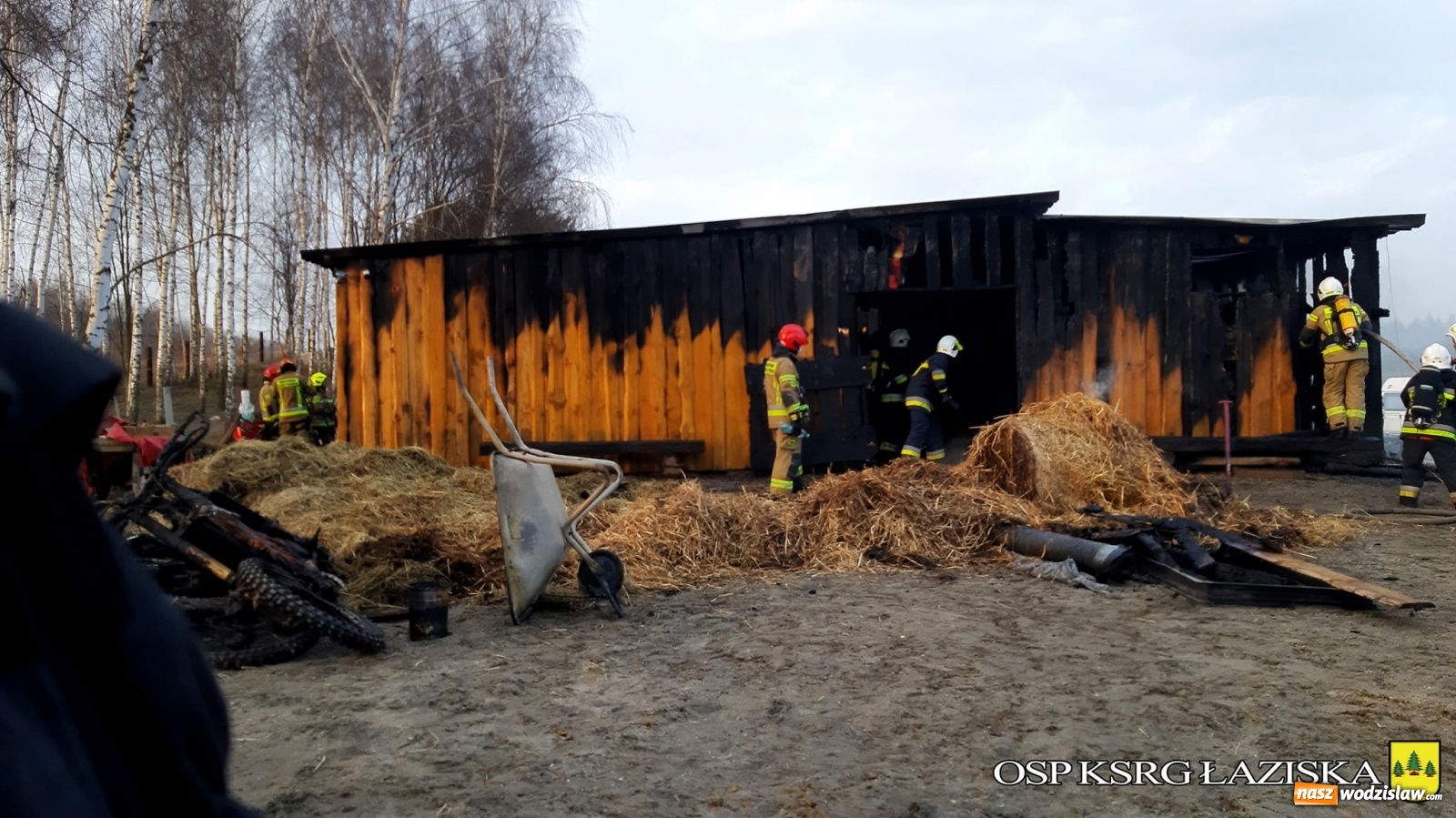 Zdjęcie w galerii na portalu naszwodzislaw.com: Pożar drewnianej stajni w Skrzyszowie [FOTO] wiadomości z regionu