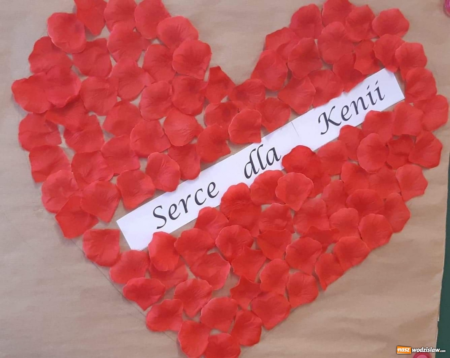 Zdjęcie w galerii na portalu naszwodzislaw.com: Wodzisławska Dziesiątka w akcji Serce dla Kenii wiadomości z regionu