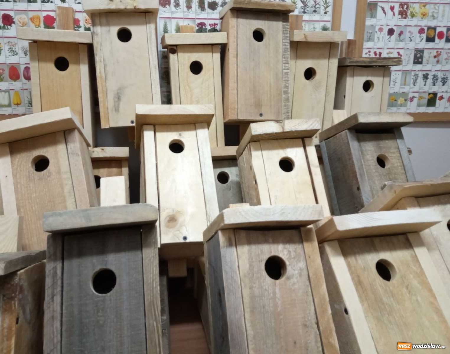 Zdjęcie w galerii na portalu naszwodzislaw.com: W ZPSWR zachęcają do pomocy ptakom wiadomości z regionu