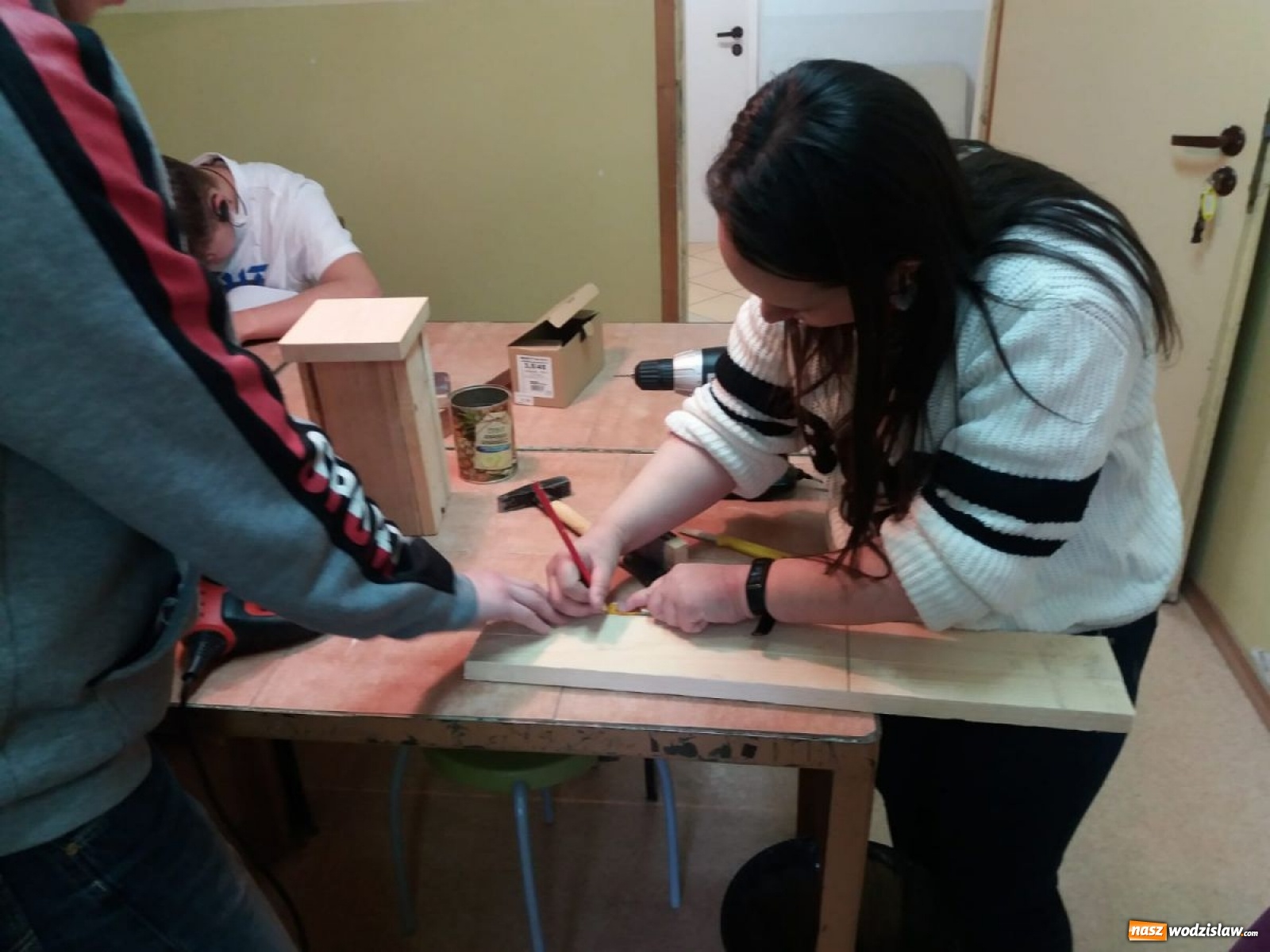 Zdjęcie w galerii na portalu naszwodzislaw.com: W ZPSWR zachęcają do pomocy ptakom wiadomości z regionu