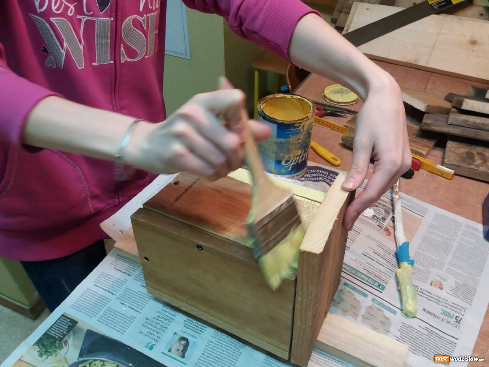 Zdjęcie w galerii na portalu naszwodzislaw.com: W ZPSWR zachęcają do pomocy ptakom wiadomości z regionu