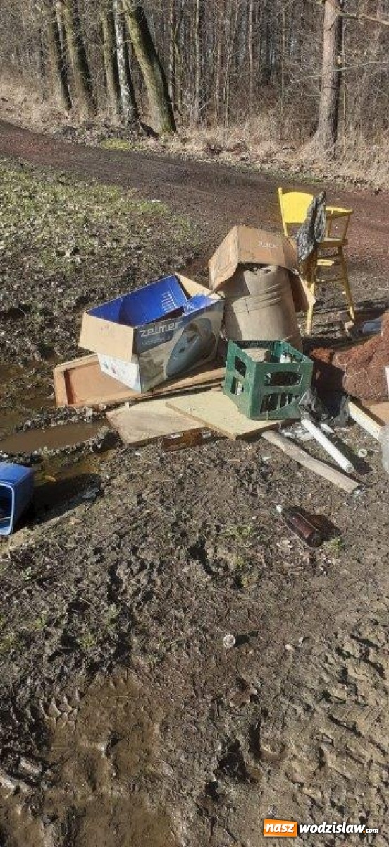 Zdjęcie w galerii na portalu naszwodzislaw.com: W gminie Godów pojawiły się dzikie wysypiska [FOTO] wiadomości z regionu
