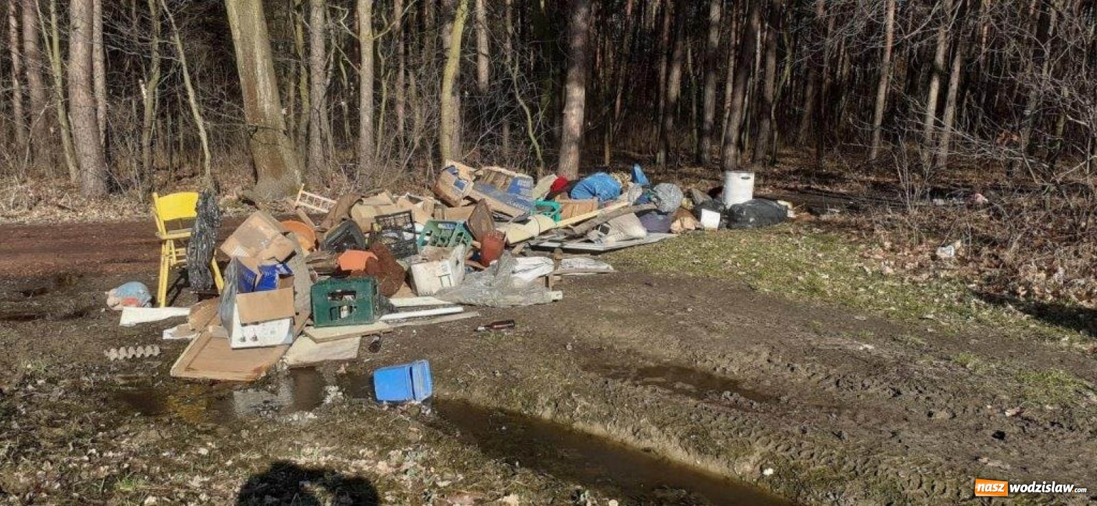 Zdjęcie w galerii na portalu naszwodzislaw.com: W gminie Godów pojawiły się dzikie wysypiska [FOTO] wiadomości z regionu