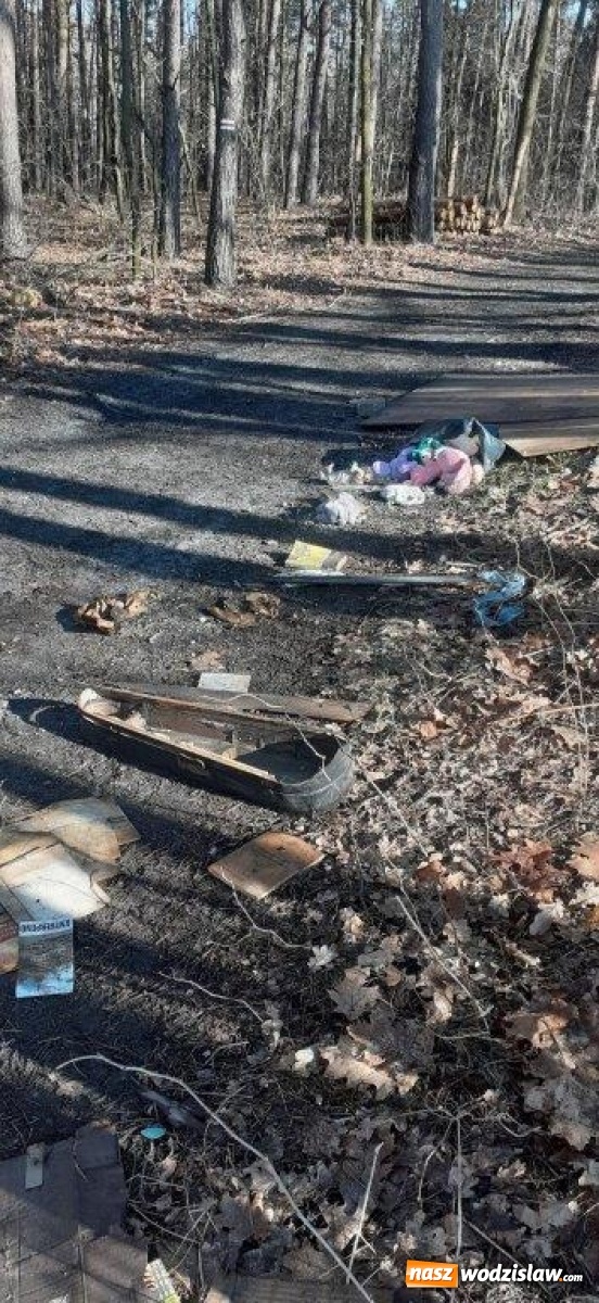 Zdjęcie w galerii na portalu naszwodzislaw.com: W gminie Godów pojawiły się dzikie wysypiska [FOTO] wiadomości z regionu