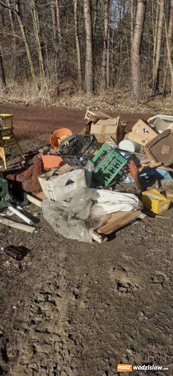Zdjęcie w galerii na portalu naszwodzislaw.com: W gminie Godów pojawiły się dzikie wysypiska [FOTO] wiadomości z regionu
