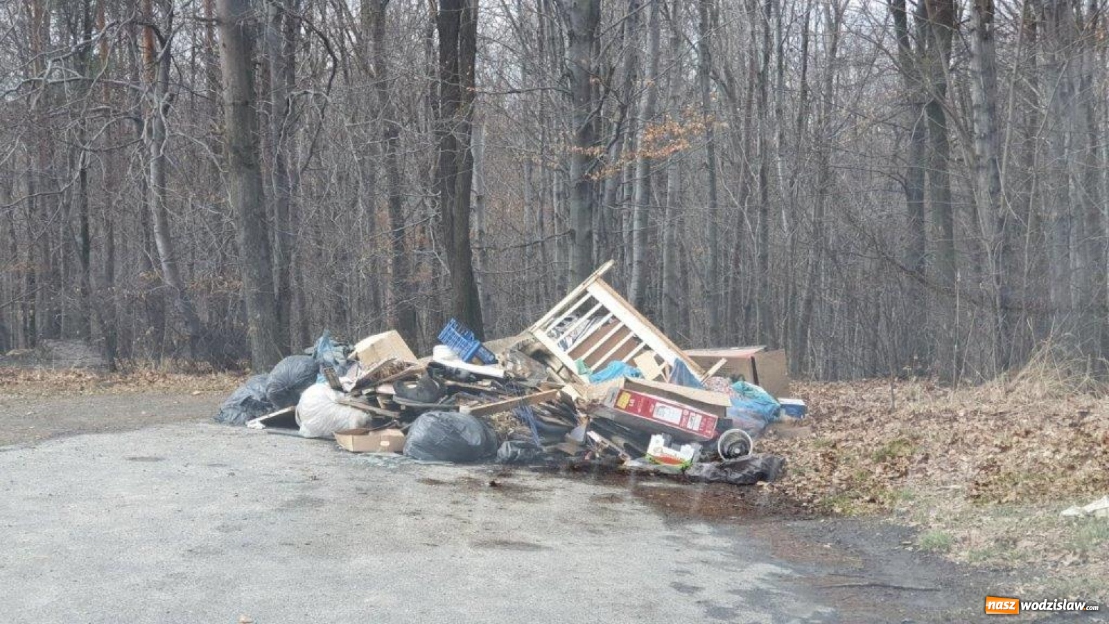 Zdjęcie w galerii na portalu naszwodzislaw.com: W gminie Godów pojawiły się dzikie wysypiska [FOTO] wiadomości z regionu