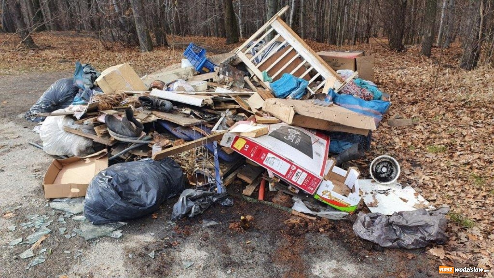 Zdjęcie w galerii na portalu naszwodzislaw.com: W gminie Godów pojawiły się dzikie wysypiska [FOTO] wiadomości z regionu