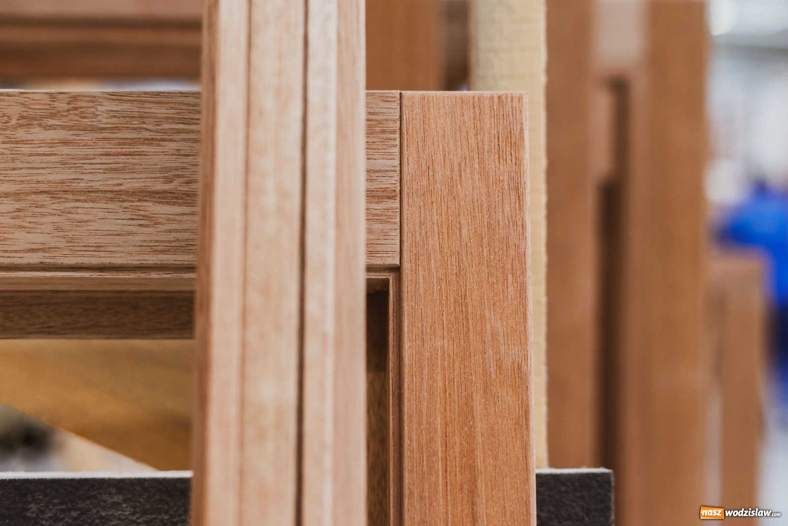 Zdjęcie w galerii na portalu naszwodzislaw.com: Eko-Okna budują i rozwijają produkcję okien drewnianych wiadomości z regionu