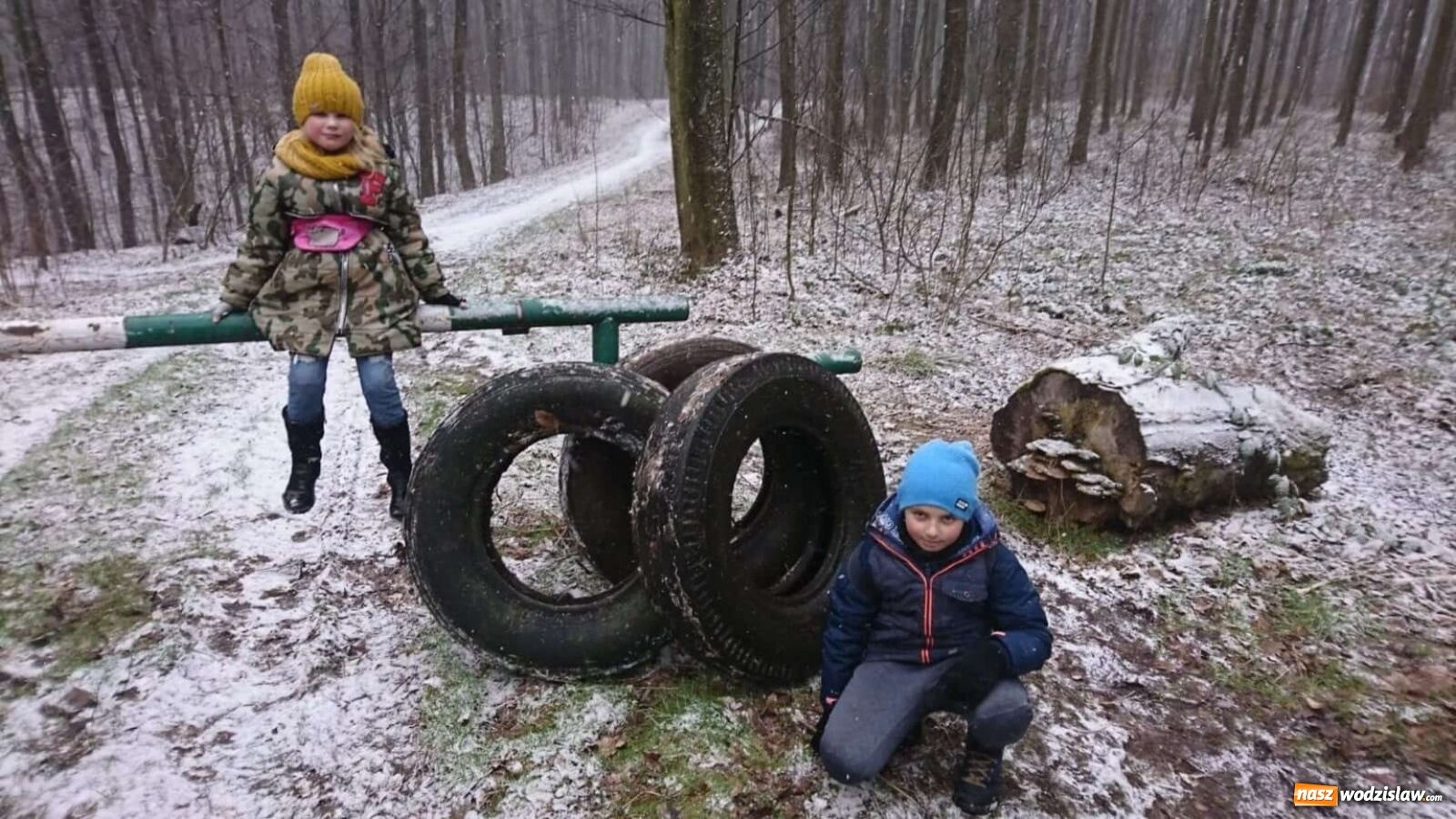 Zdjęcie w galerii na portalu naszwodzislaw.com: Wodzisławianie zorganizowali akcję sprzątania lasu wiadomości z regionu