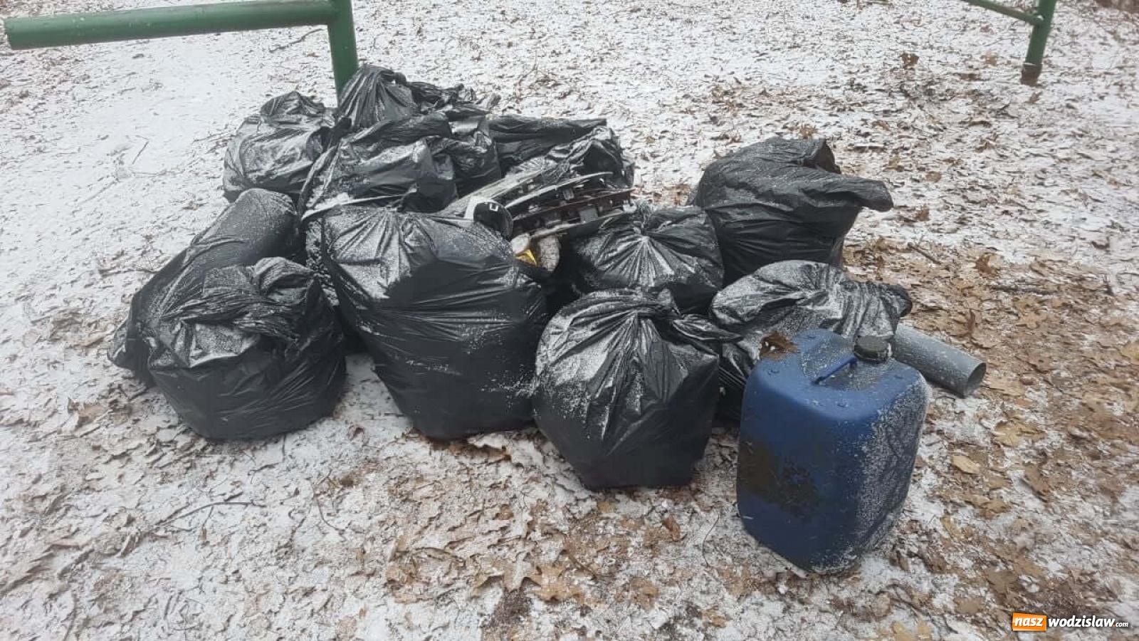 Zdjęcie w galerii na portalu naszwodzislaw.com: Wodzisławianie zorganizowali akcję sprzątania lasu wiadomości z regionu