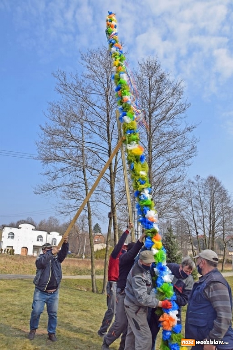 Zdjęcie w galerii na portalu naszwodzislaw.com: W mszańskim parku stanęła gigantyczna palma wielkanocna [FOTO] wiadomości z regionu