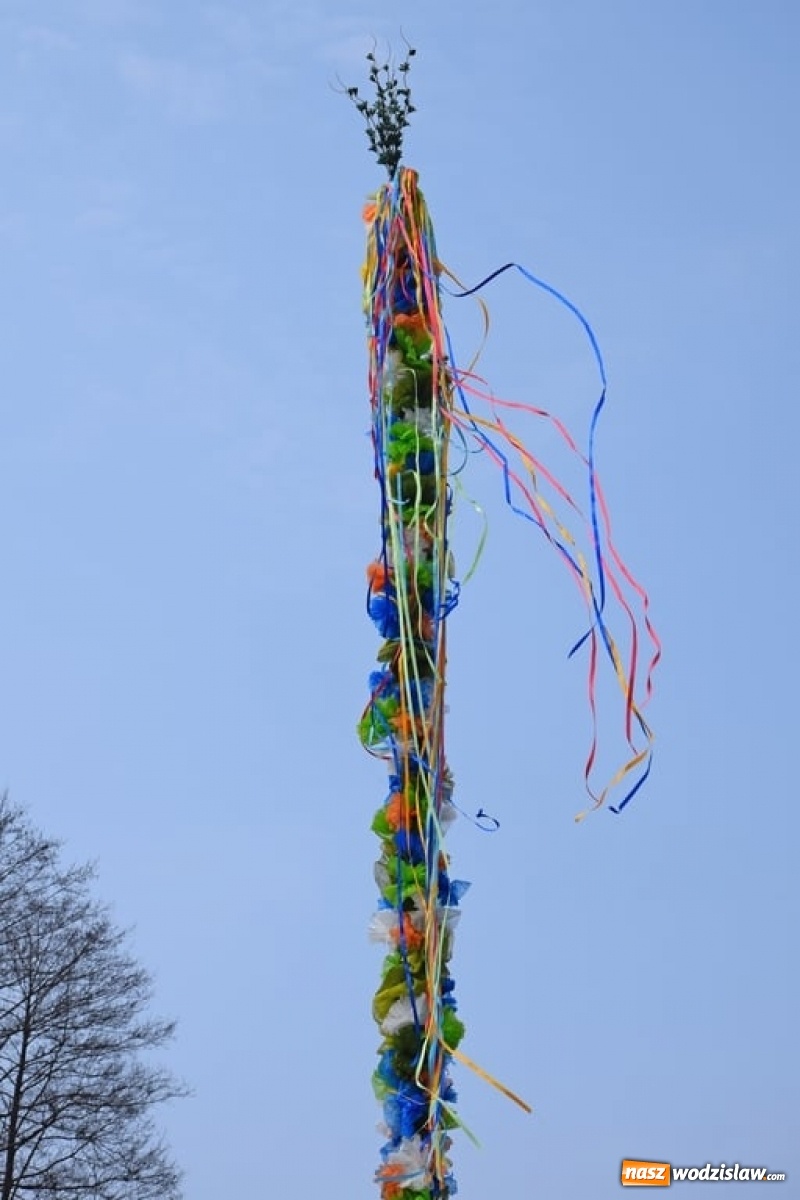 Zdjęcie w galerii na portalu naszwodzislaw.com: W mszańskim parku stanęła gigantyczna palma wielkanocna [FOTO] wiadomości z regionu