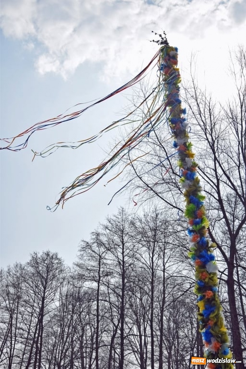 Zdjęcie w galerii na portalu naszwodzislaw.com: W mszańskim parku stanęła gigantyczna palma wielkanocna [FOTO] wiadomości z regionu