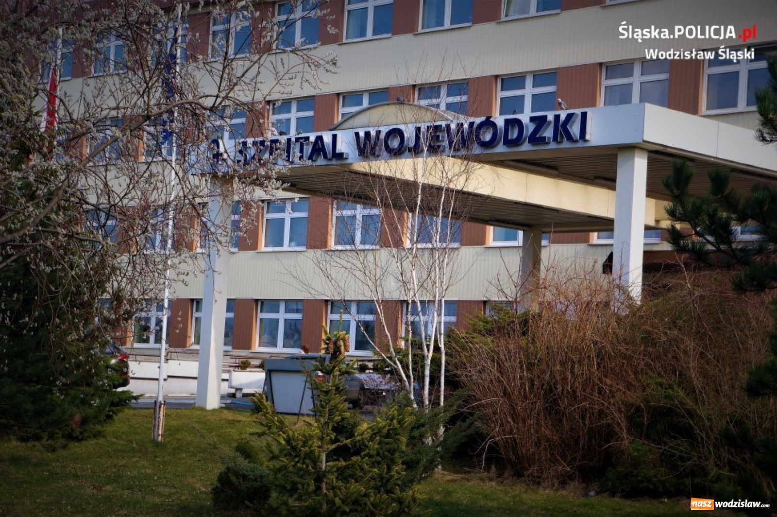 Zdjęcie w galerii na portalu naszwodzislaw.com: Ruszyły szczepienia wodzisławskich policjantów wiadomości z regionu