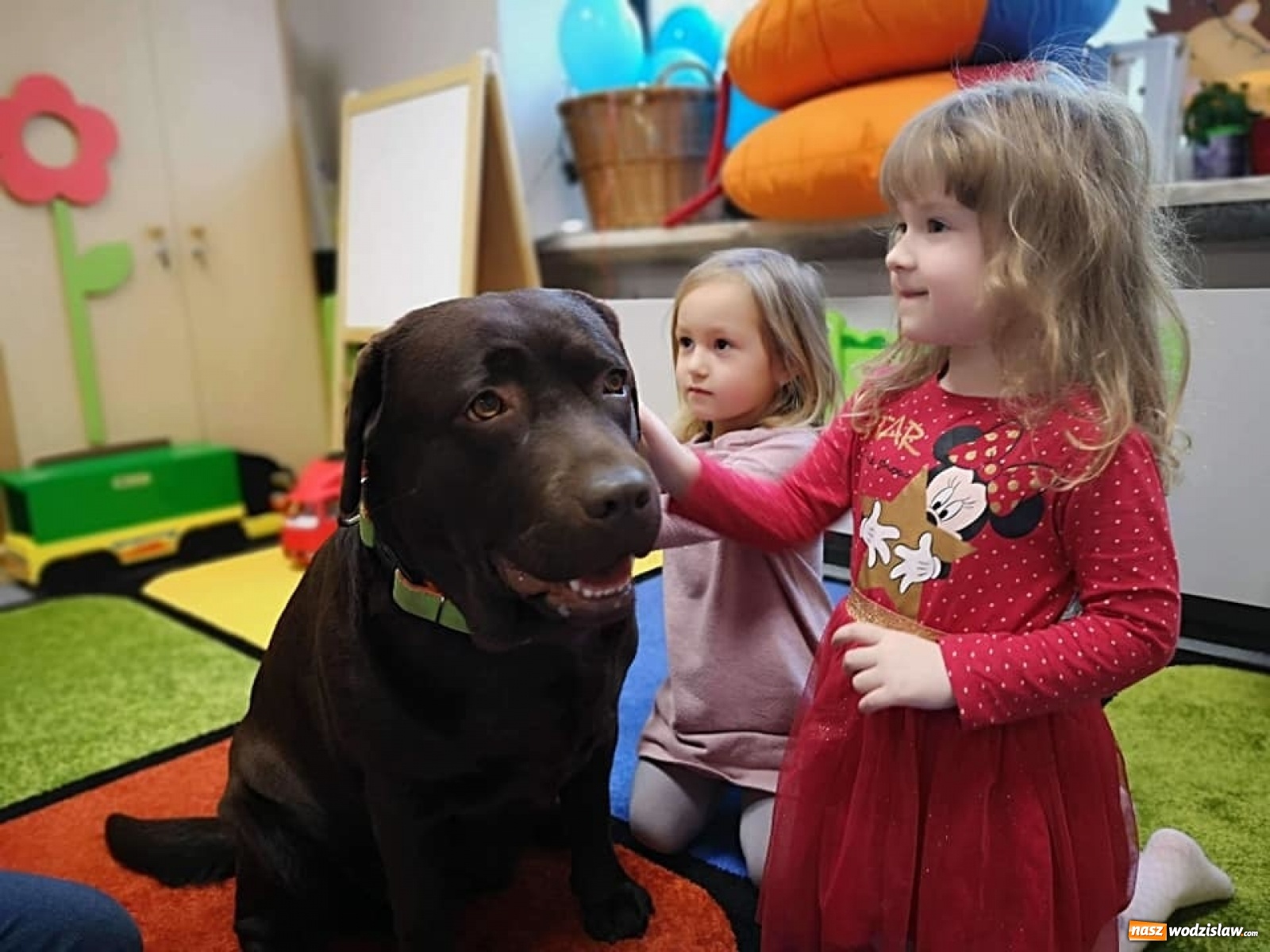 Zdjęcie w galerii na portalu naszwodzislaw.com: W Bursztynku dzieci nie narzekają na nudę wiadomości z regionu