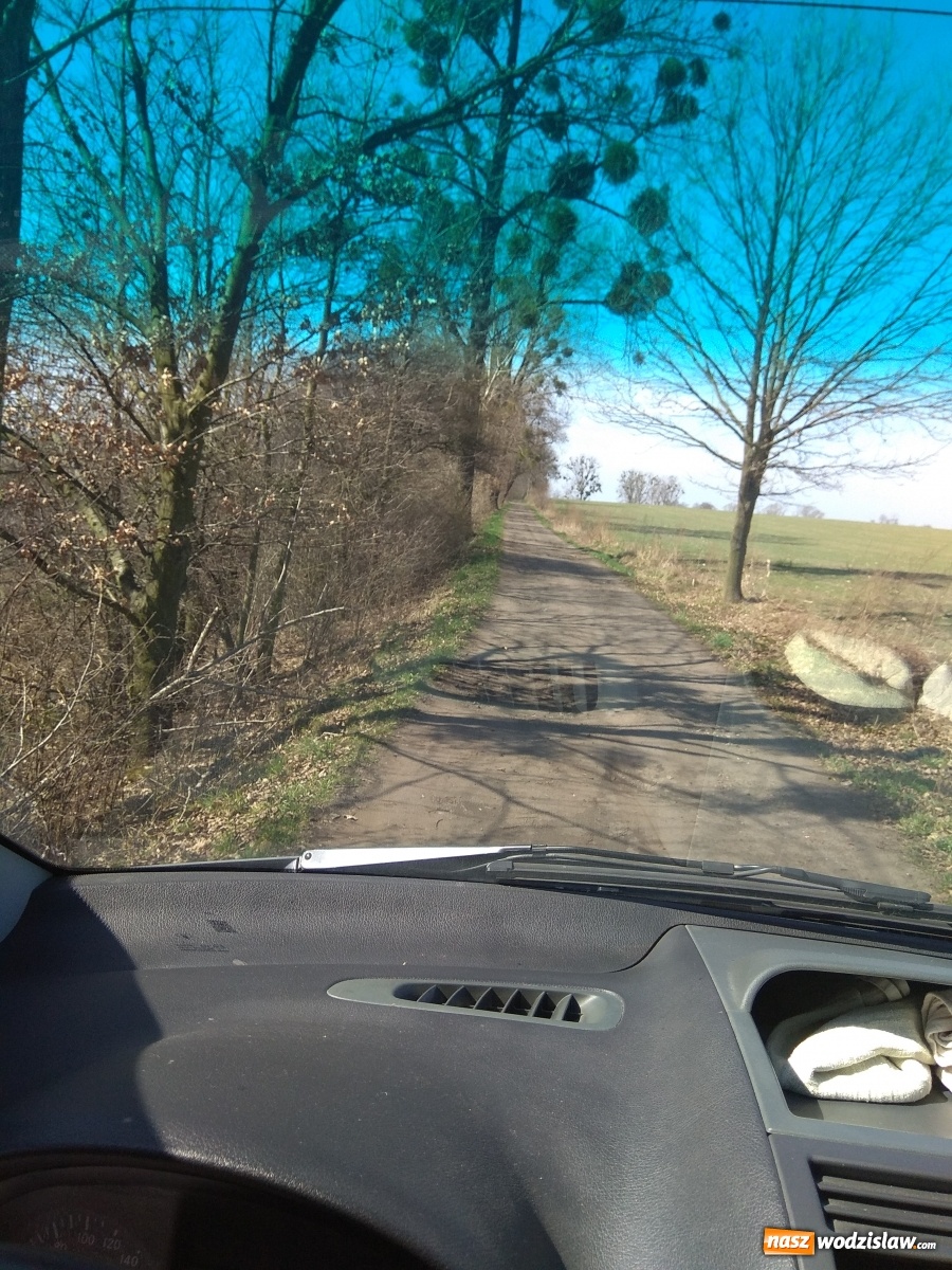 Zdjęcie w galerii na portalu naszwodzislaw.com: Uchylsko-Gorzyczki. Czy to najgorsza droga powiatowa w województwie śląskim? wiadomości z regionu