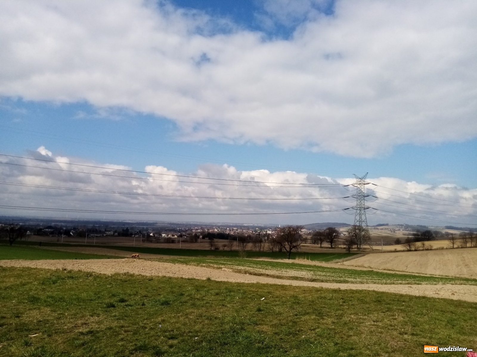 Zdjęcie w galerii na portalu naszwodzislaw.com: U Bordynowskiej Pani i Stanisława Kostki. Wiosenny spacer po Lubomi [FOTO] wiadomości z regionu