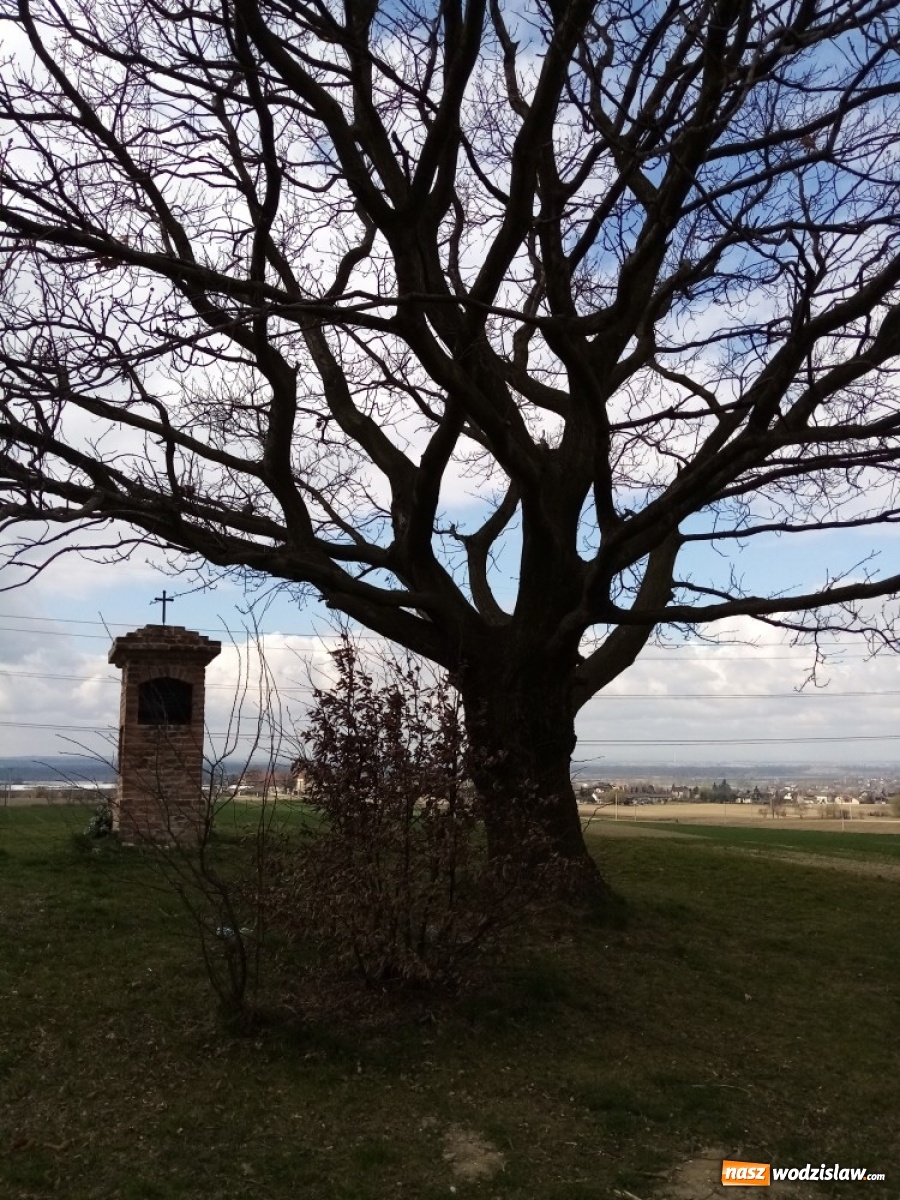 Zdjęcie w galerii na portalu naszwodzislaw.com: U Bordynowskiej Pani i Stanisława Kostki. Wiosenny spacer po Lubomi [FOTO] wiadomości z regionu