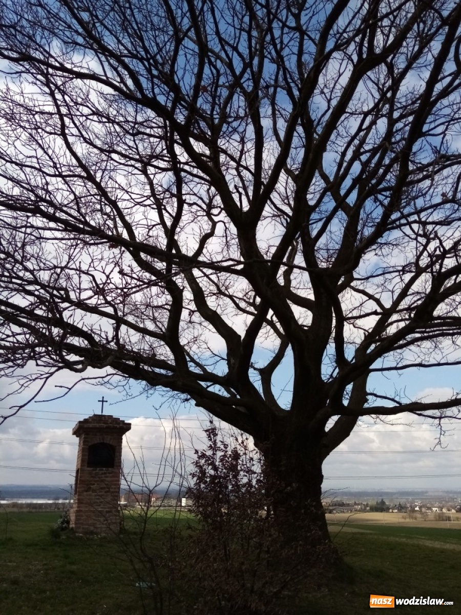 Zdjęcie w galerii na portalu naszwodzislaw.com: U Bordynowskiej Pani i Stanisława Kostki. Wiosenny spacer po Lubomi [FOTO] wiadomości z regionu