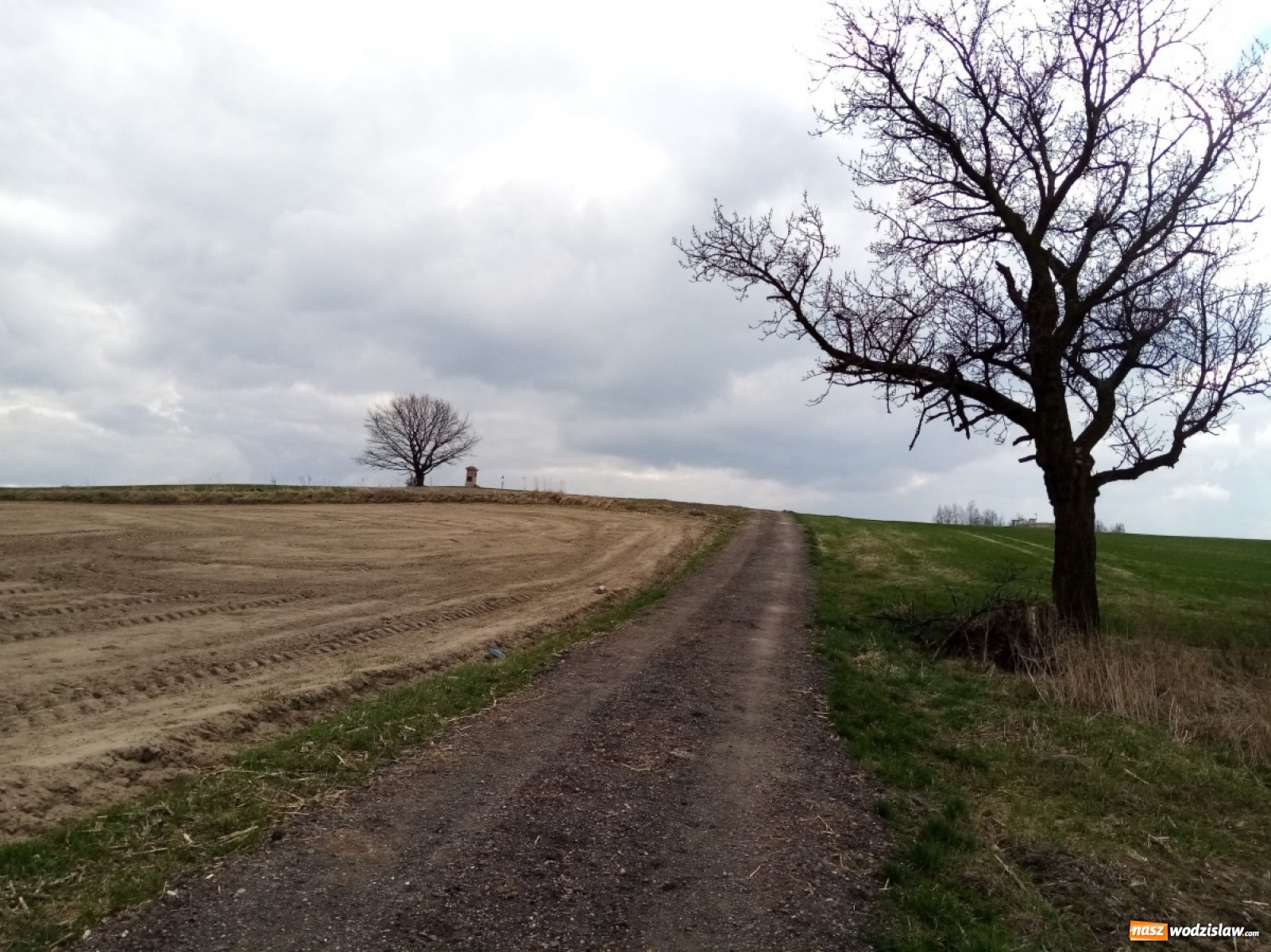 Zdjęcie w galerii na portalu naszwodzislaw.com: U Bordynowskiej Pani i Stanisława Kostki. Wiosenny spacer po Lubomi [FOTO] wiadomości z regionu