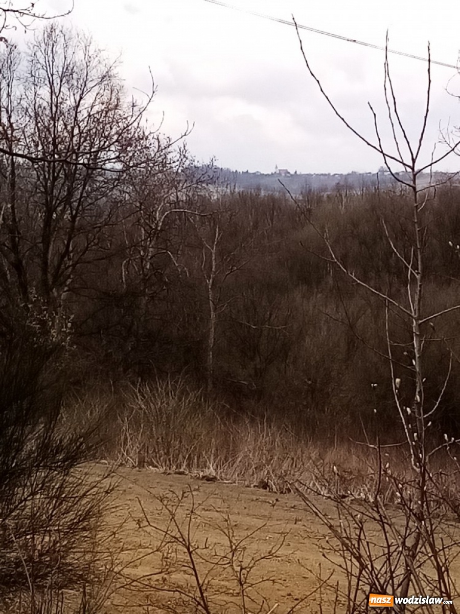 Zdjęcie w galerii na portalu naszwodzislaw.com: U Bordynowskiej Pani i Stanisława Kostki. Wiosenny spacer po Lubomi [FOTO] wiadomości z regionu