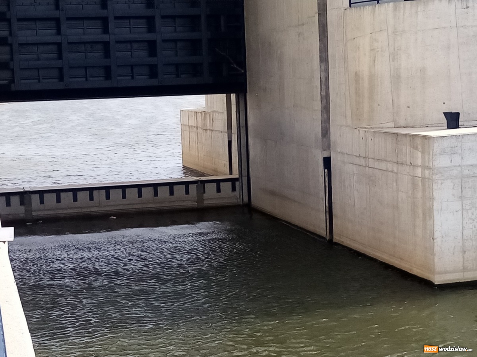Zdjęcie w galerii na portalu naszwodzislaw.com: Okolice Lubomi w obiektywie [FOTO] wiadomości z regionu