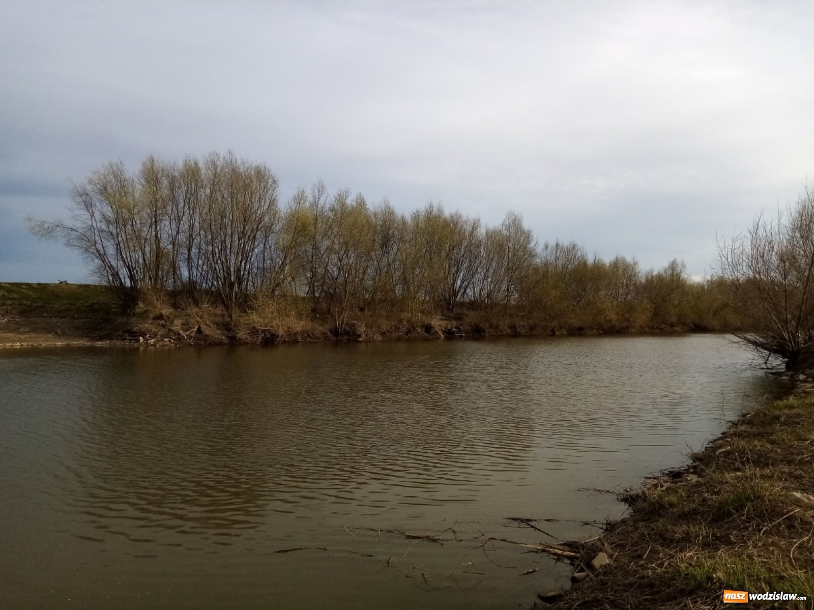 Zdjęcie w galerii na portalu naszwodzislaw.com: Okolice Lubomi w obiektywie [FOTO] wiadomości z regionu