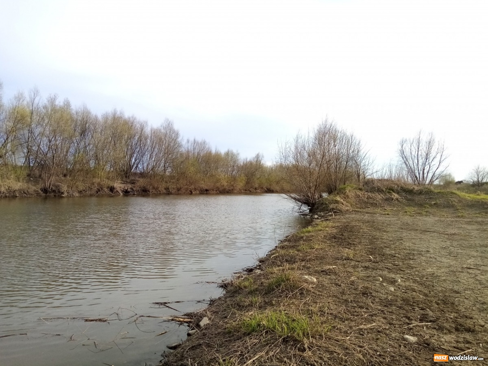 Zdjęcie w galerii na portalu naszwodzislaw.com: Okolice Lubomi w obiektywie [FOTO] wiadomości z regionu