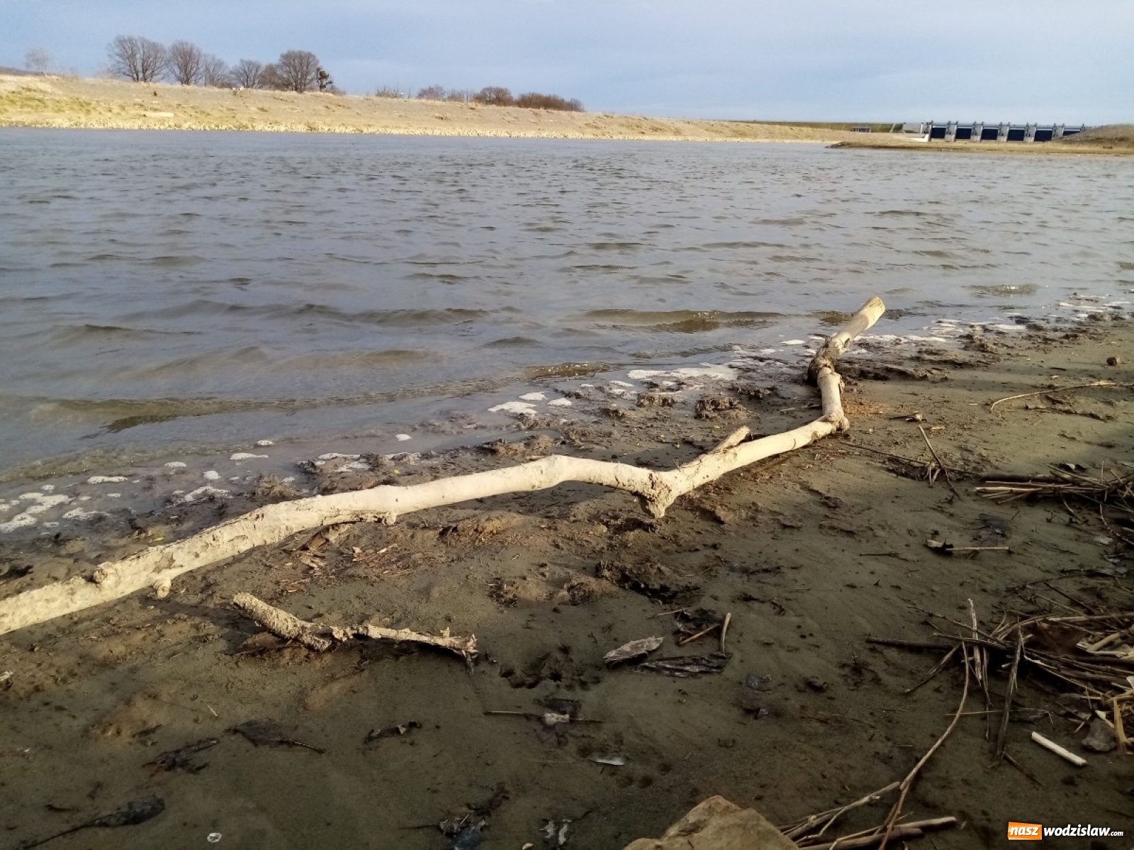 Zdjęcie w galerii na portalu naszwodzislaw.com: Okolice Lubomi w obiektywie [FOTO] wiadomości z regionu