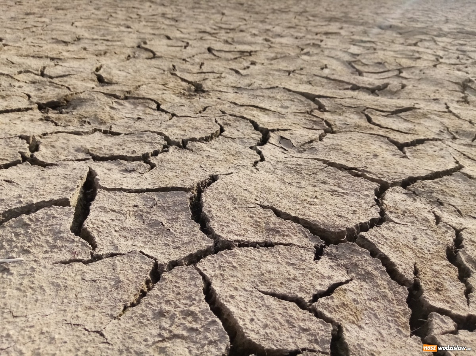 Zdjęcie w galerii na portalu naszwodzislaw.com: Okolice Lubomi w obiektywie [FOTO] wiadomości z regionu
