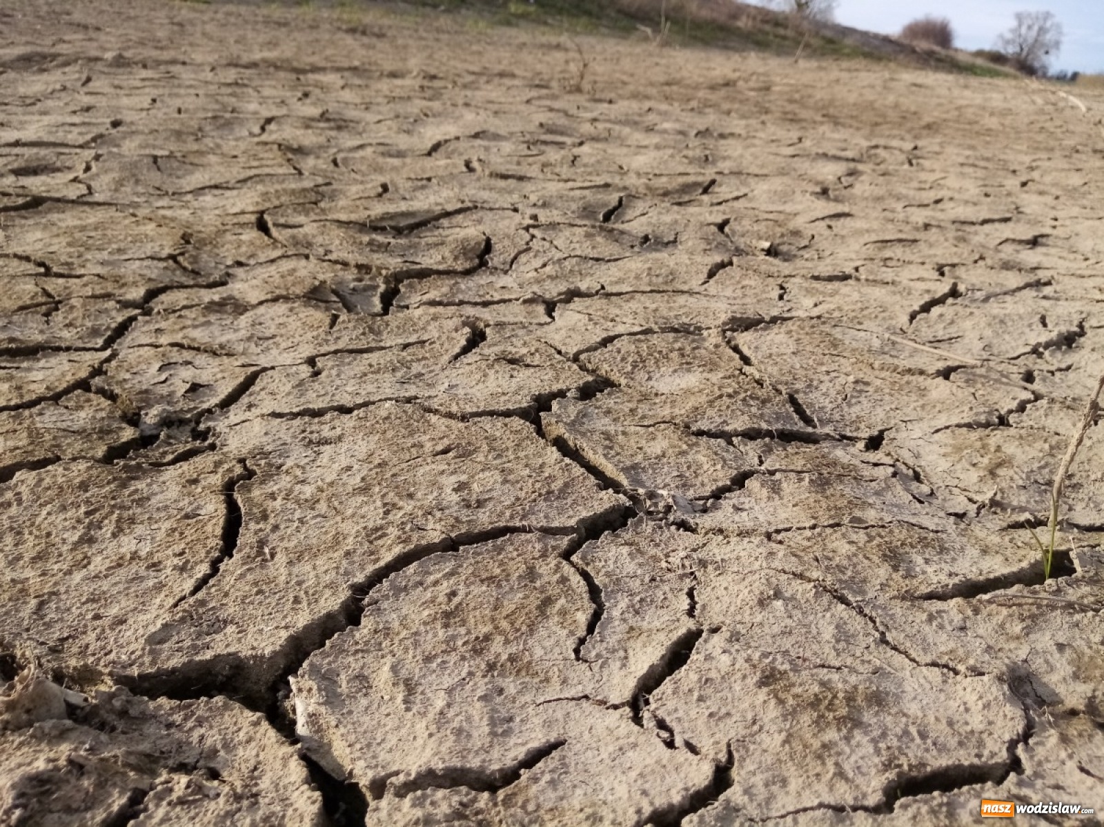 Zdjęcie w galerii na portalu naszwodzislaw.com: Okolice Lubomi w obiektywie [FOTO] wiadomości z regionu