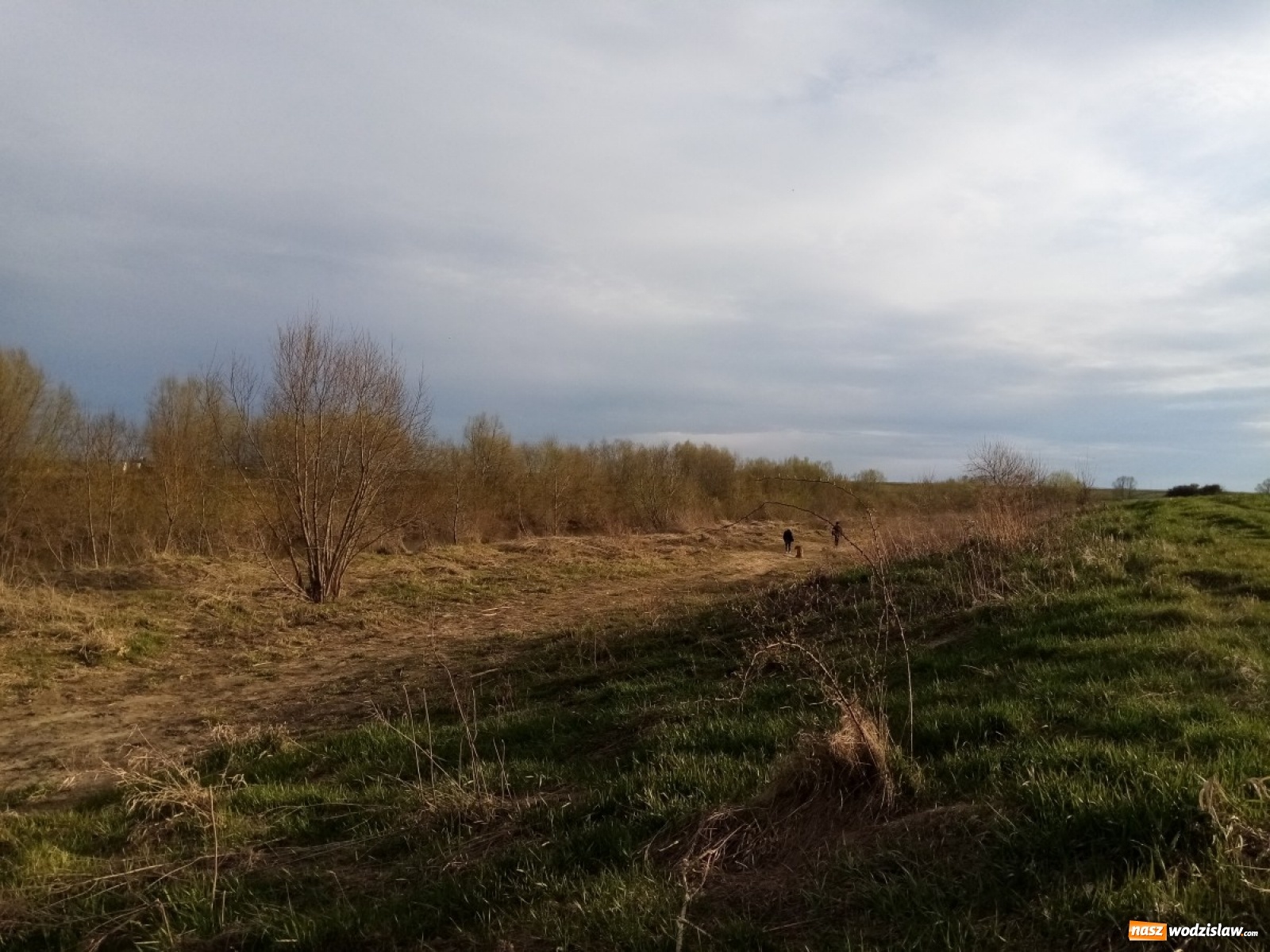 Zdjęcie w galerii na portalu naszwodzislaw.com: Okolice Lubomi w obiektywie [FOTO] wiadomości z regionu