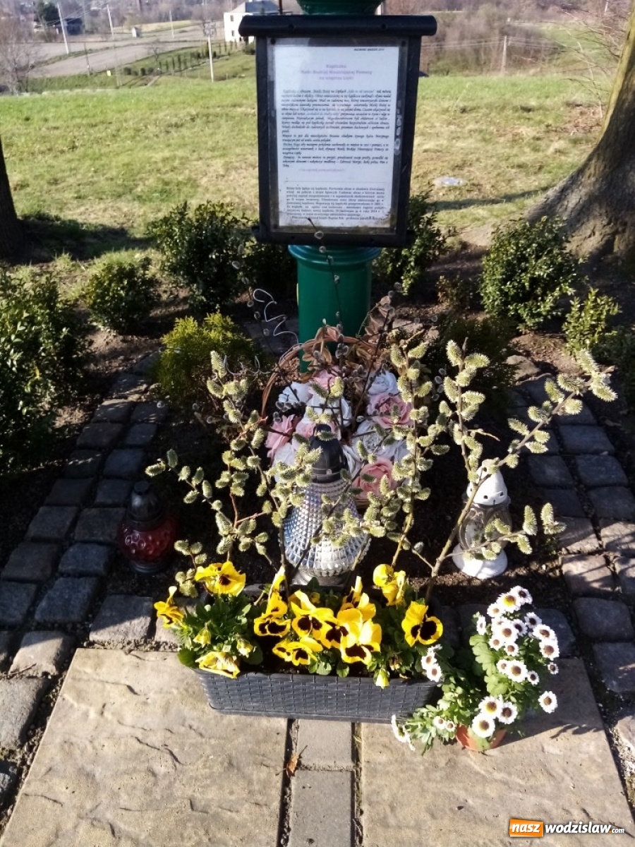 Zdjęcie w galerii na portalu naszwodzislaw.com: Okolice Lubomi w obiektywie [FOTO] wiadomości z regionu