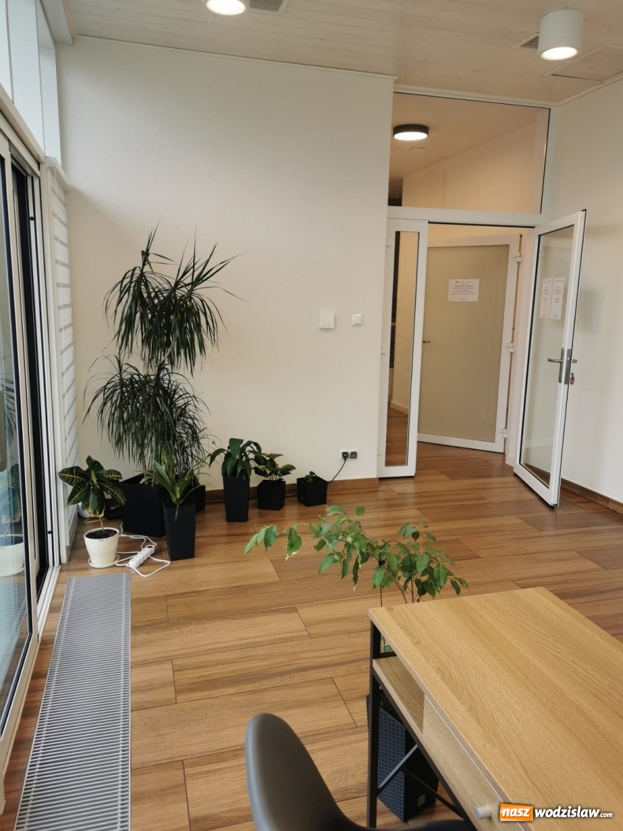 Zdjęcie w galerii na portalu naszwodzislaw.com: Przynieś kwiaty, obudź wiosnę. Akcja Oazy Aktywności wiadomości z regionu