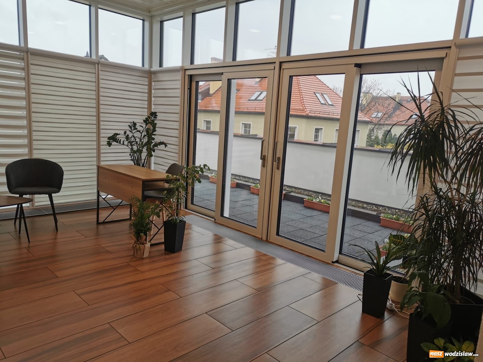 Zdjęcie w galerii na portalu naszwodzislaw.com: Przynieś kwiaty, obudź wiosnę. Akcja Oazy Aktywności wiadomości z regionu