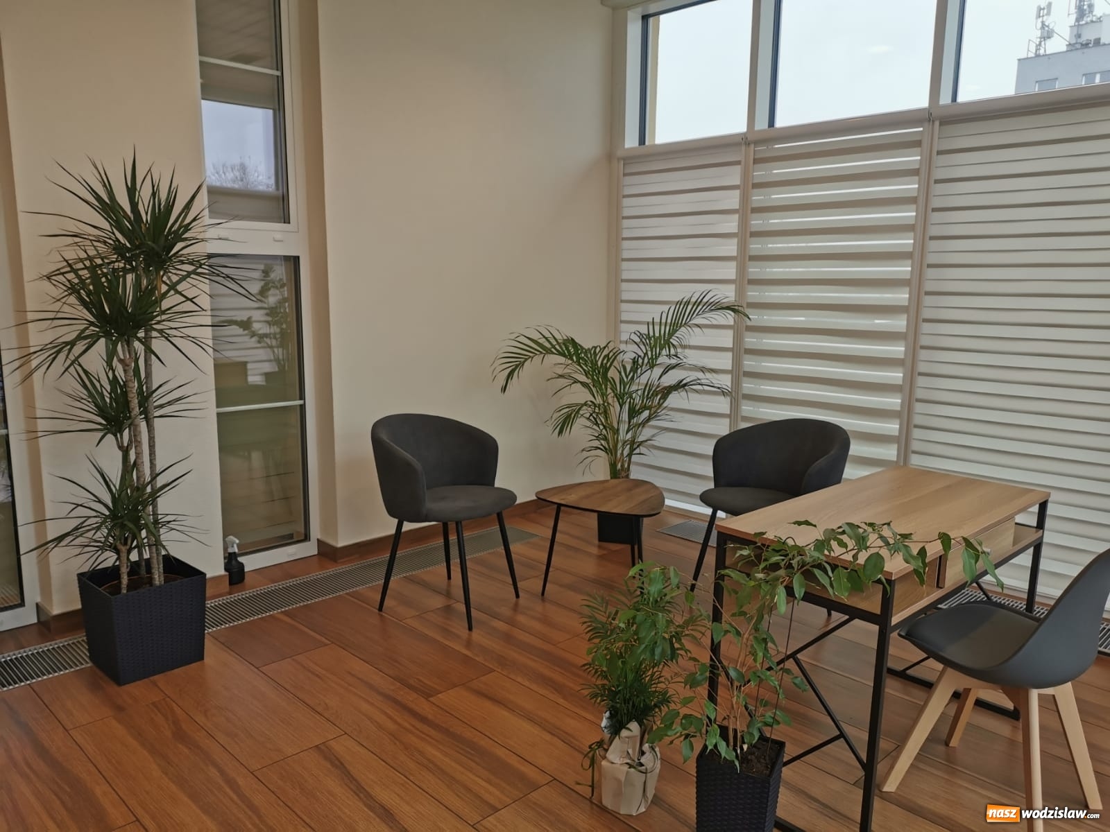 Zdjęcie w galerii na portalu naszwodzislaw.com: Przynieś kwiaty, obudź wiosnę. Akcja Oazy Aktywności wiadomości z regionu