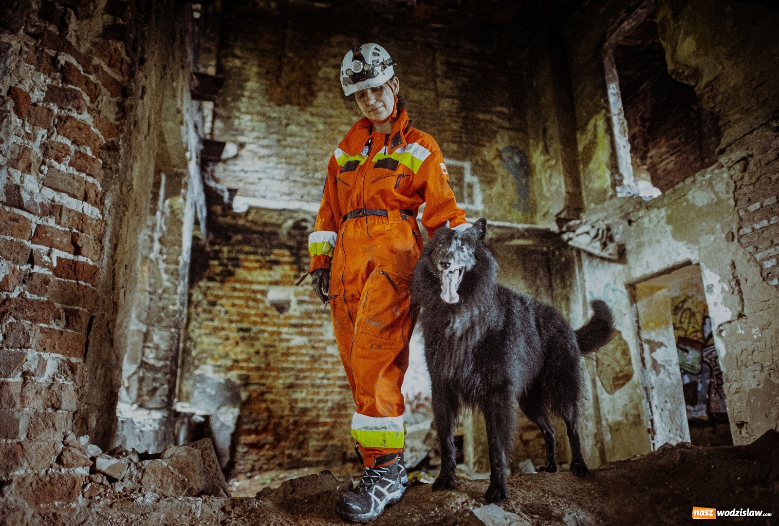 Zdjęcie w galerii na portalu naszwodzislaw.com: W 13 ŚBOT służą już trzy psy wiadomości z regionu