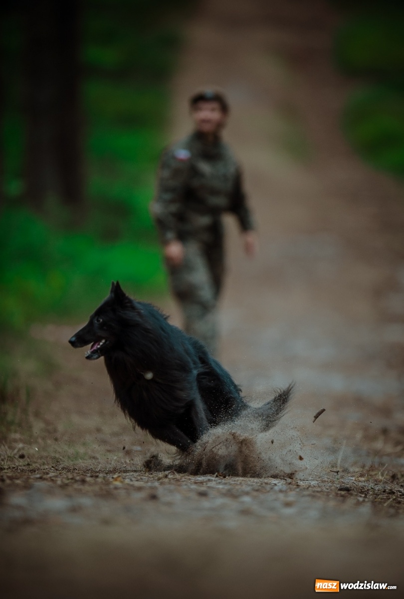 Zdjęcie w galerii na portalu naszwodzislaw.com: W 13 ŚBOT służą już trzy psy wiadomości z regionu