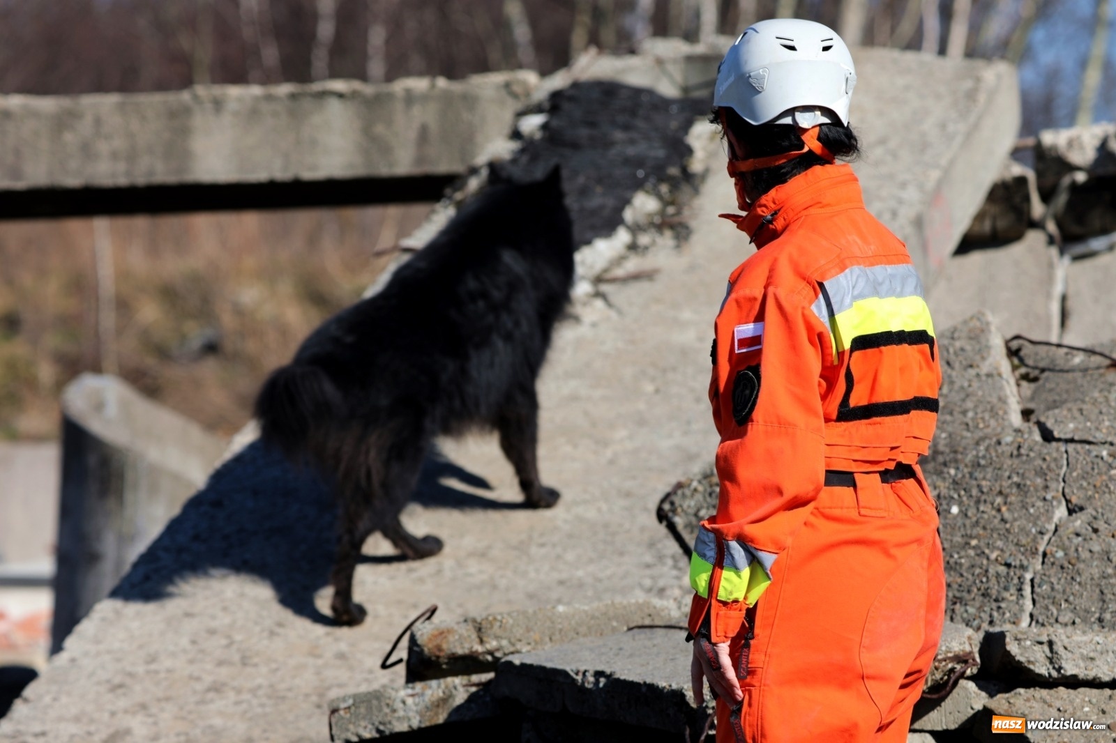 Zdjęcie w galerii na portalu naszwodzislaw.com: W 13 ŚBOT służą już trzy psy wiadomości z regionu