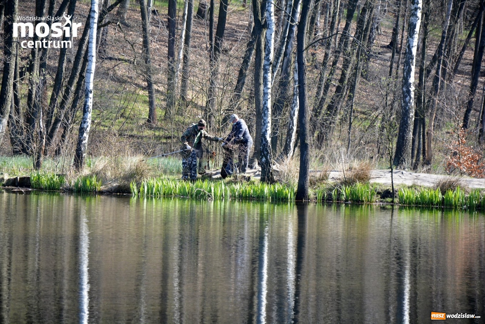 Zdjęcie w galerii na portalu naszwodzislaw.com: Wodzisławski Balaton posprzątany wiadomości z regionu