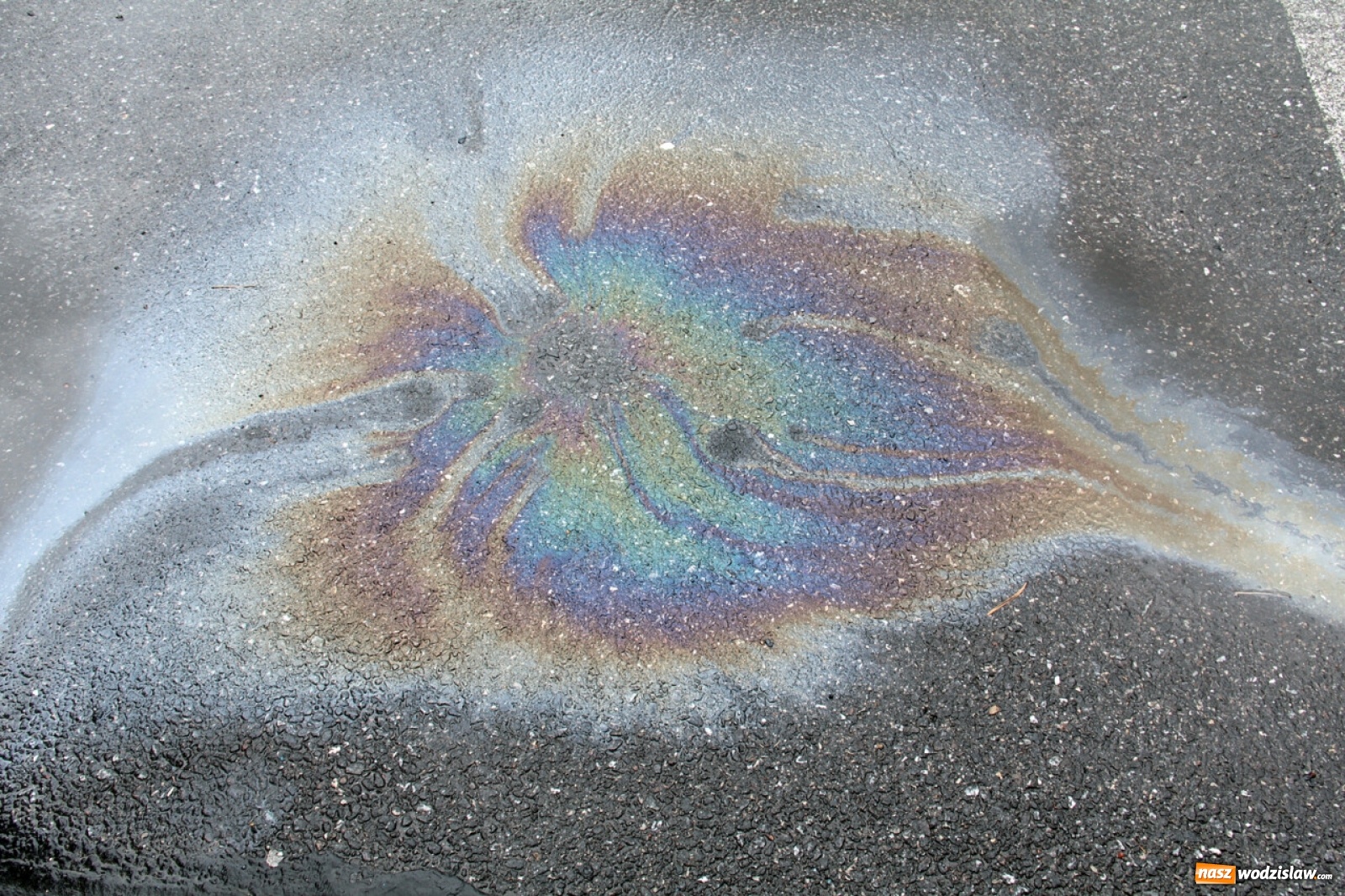 Zdjęcie w galerii na portalu naszwodzislaw.com: Foton w hołdzie Ziemi. E-wystawa studentów raciborskiej PWSZ wiadomości z regionu