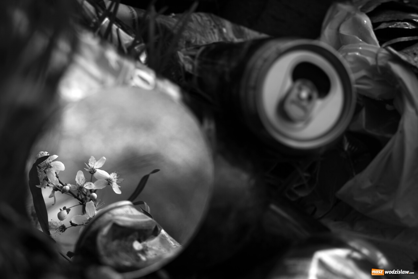 Zdjęcie w galerii na portalu naszwodzislaw.com: Foton w hołdzie Ziemi. E-wystawa studentów raciborskiej PWSZ wiadomości z regionu