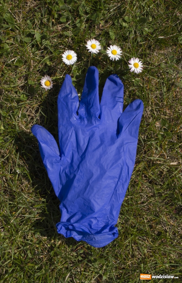 Zdjęcie w galerii na portalu naszwodzislaw.com: Foton w hołdzie Ziemi. E-wystawa studentów raciborskiej PWSZ wiadomości z regionu