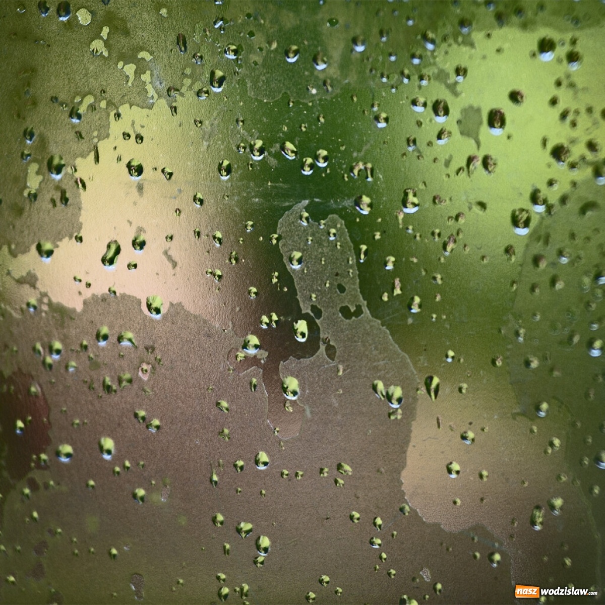 Zdjęcie w galerii na portalu naszwodzislaw.com: Foton w hołdzie Ziemi. E-wystawa studentów raciborskiej PWSZ wiadomości z regionu